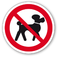 No dog
